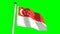 Singapore flag