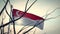 Singapore flag through trees waving and backlit - 3d animation