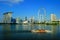 The Singapore Flyer and Cityscape