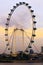 Singapore Flyer the Largest Ferris Wheel