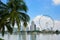 Singapore Flyer and palm tree