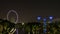Singapore Flyer and Super Tree