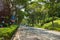 Singapore - May 1 2016: Clean and clear street with green park in Singapore