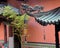 Singapore, old city Chinese temple dragon roof detail