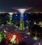 Singapore scenes: night view of supertrees at Gardens by the Bay