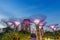 SINGAPORE-September 25th 2017 :Night view of super tree grove in Garden Rhapsody