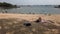 Singapore Siloso 1 june 202. people relaxing on Siloso beach, ocean view,
