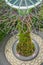 SINGAPORE, SINGAPORE - JANUARY 30, 2018: Gorgeous above view of supertree at Gardens by the Bay with metallic branches