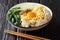 Singapore style homemade noodle soup with fried anchovies, meatballs, egg and bok choy close-up in a bowl. horizontal