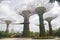 The Singapore supertrees