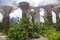 The Singapore supertrees