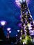Singapore Supertrees in Gardens by the Bay