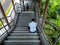 SINGAPORE â€“ 3 MAY 2019 â€“ An exhausted Asian Chinese man takes a rest / nap in the shade during his break