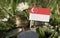 Singaporean flag with stack of money coins with grass