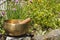 Singing bowl made of seven metals in a green garden
