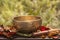 Singing bowl made of seven metals surrounded of colorful autumn