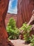 Singing Canyon in Escalante, Utah