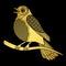 Singing doodle gold bird
