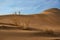 Singing dune and  haloxylon in the desert