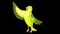 Singing Green canary alpha matte 4K