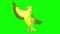 Singing Green canary chroma key 4K