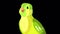 Singing Green canary close-up alpha matte 4K