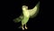 Singing Green forest bird alpha matte 4K