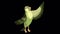 Singing Green wood warber bird alpha matte HD
