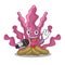 Singing pink seaweed isolated in the cartoon