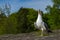 singing white and grey seagull on granite stone