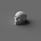 SINGLE 3D RENDERING HUMAN HEAD SKULL