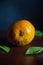 Single Alphonso Mango against Dark Background