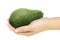 Single avocado in a hand of woman