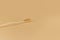 Single Bamboo wooden toothbrushe on beige background.