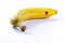 Single Banana Yellow Ripe Fresh Fruit Isolated White Background