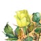 A single of beautiful golden yellow rose with green leaves.