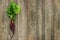 Single beetroot with leaves over rustic wood