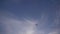 Single bird in the blue sky slow motion