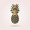 Single black and golden abstract pineapple icon