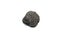 single black truffle & x28;tuber aestivum& x29;, uncut and raw on white background