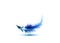 Single blue feather vector isolated on white background. Levitation plume, lightness concept icon