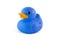 Single blue rubber duck