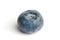 Single blueberry macro