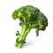 Single broccoli with a few green leaves on a clean white background.