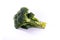 Single Brocoli Stem Top Bush Vegetable Fresh Cooking Raw Ingredient Isolated White Background Detail Closeup