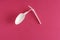 Single broken white disposable plastic spoon on pink background, non ecological garbage pollution, top view, closeup