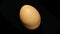 Single brown chicken egg rotating to stand still on black background