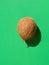 Single brown coconut on solid green background. Hard light harsh shadows. Trendy funky minimalist style. Creative food poster