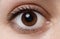 Single brown eye with mascara. Young women healthy eye close up