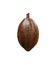 Single brown fresh healthy cacao pod isolated on white background without shadow